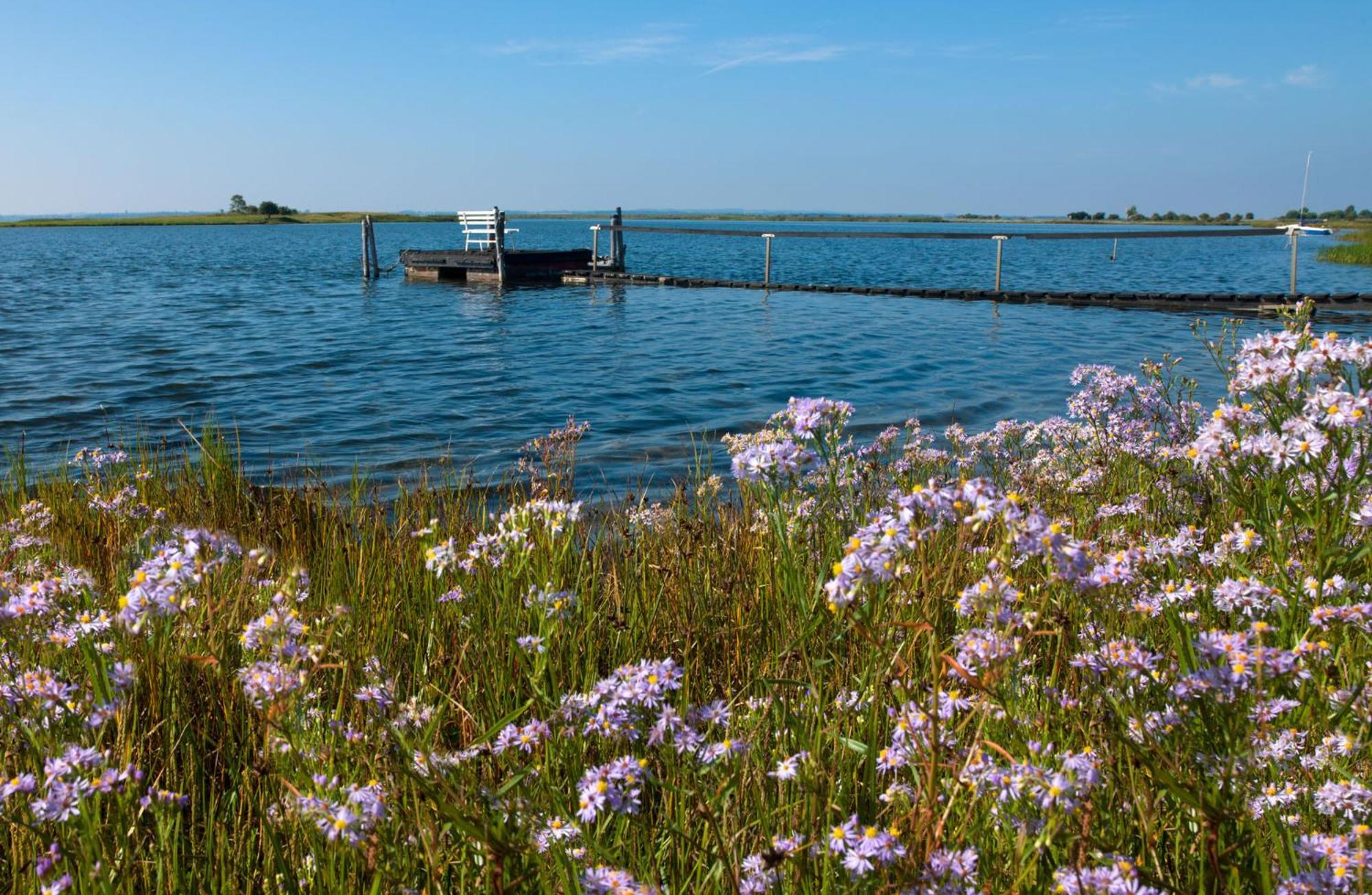 Luett Kajuet - Fip Park Insel Poel Exterior foto