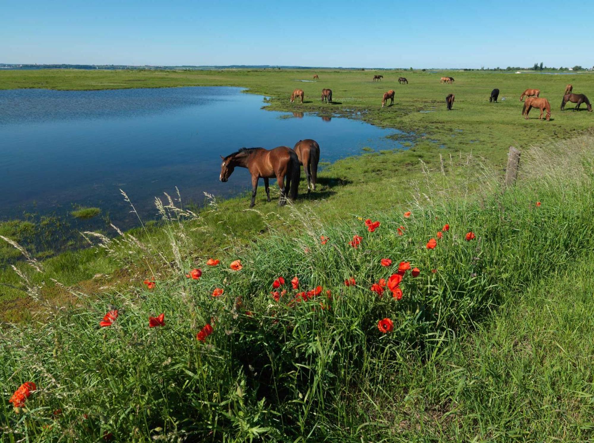 Luett Kajuet - Fip Park Insel Poel Exterior foto