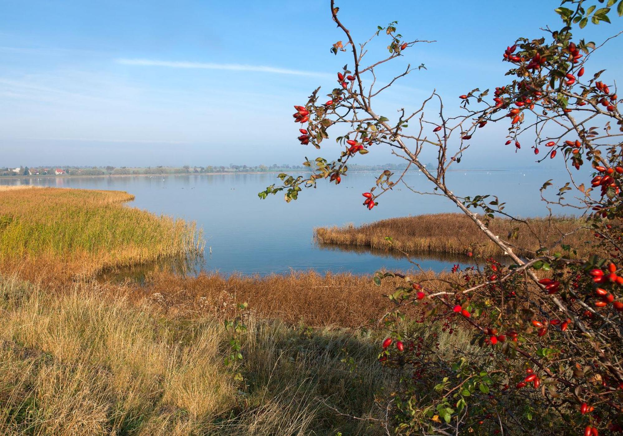 Luett Kajuet - Fip Park Insel Poel Exterior foto